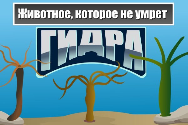 Kraken что это такое
