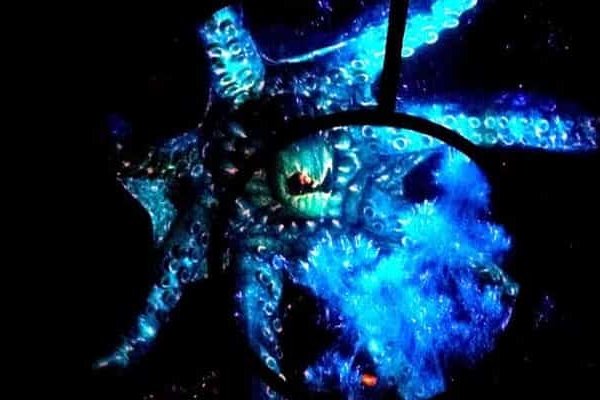 Www kraken 20at net