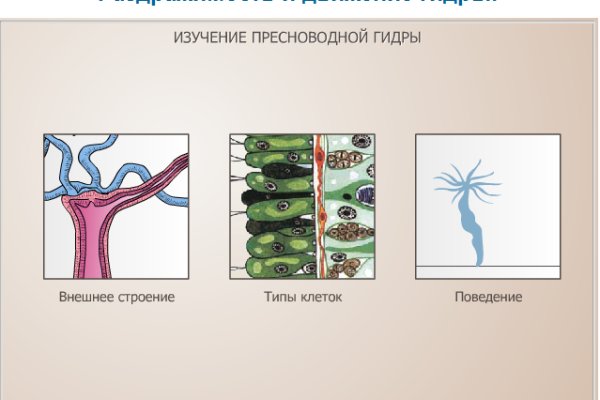 Кракен тор что это