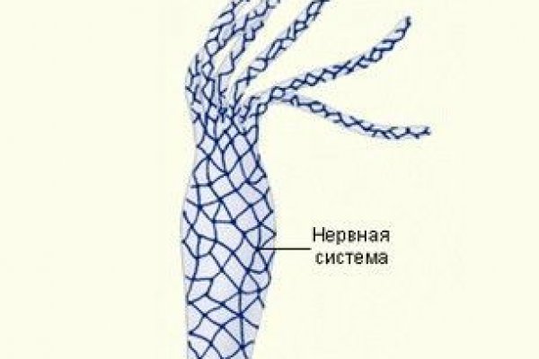 Kraken kraken link24 info