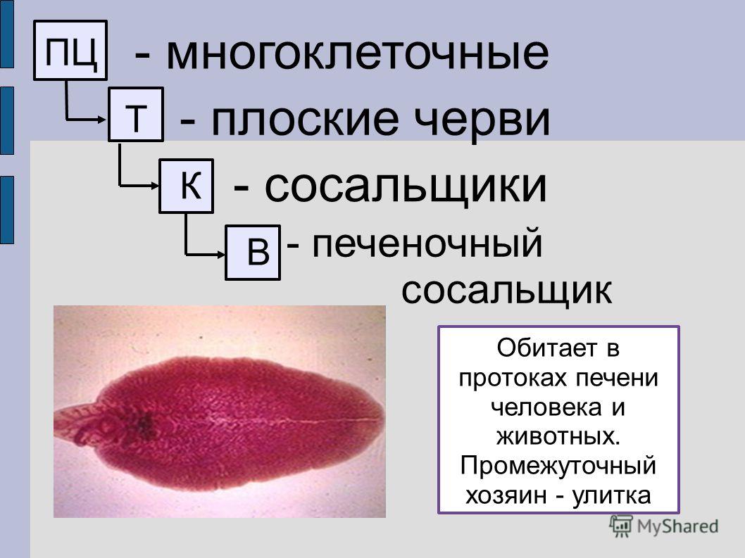 Сайты по продаже наркотиков