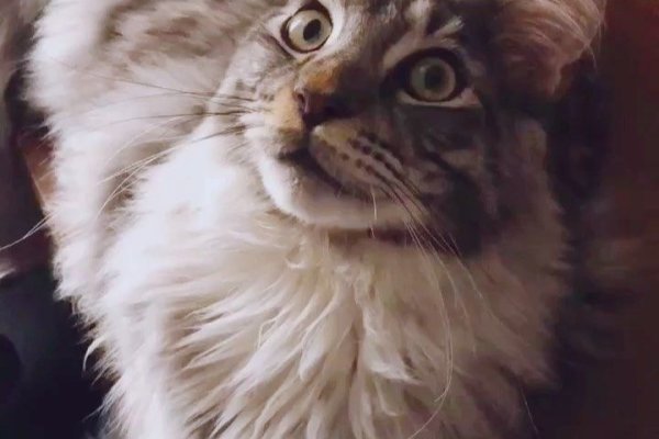 Кракен продажа наркотиков