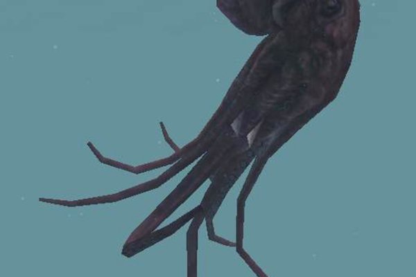 Kra31.cc