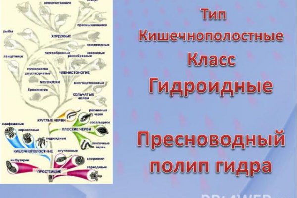 Ошибка на кракене