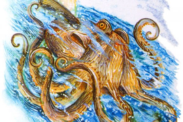 Kraken 14at