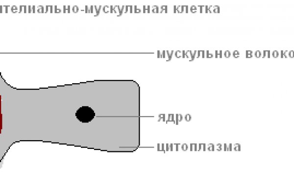 Kraken ссылка kraken link24 info