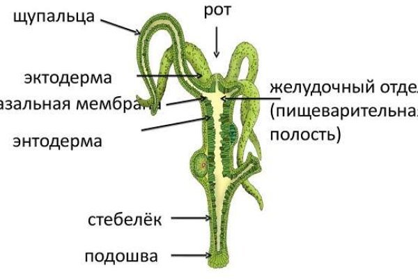 Кракен соль