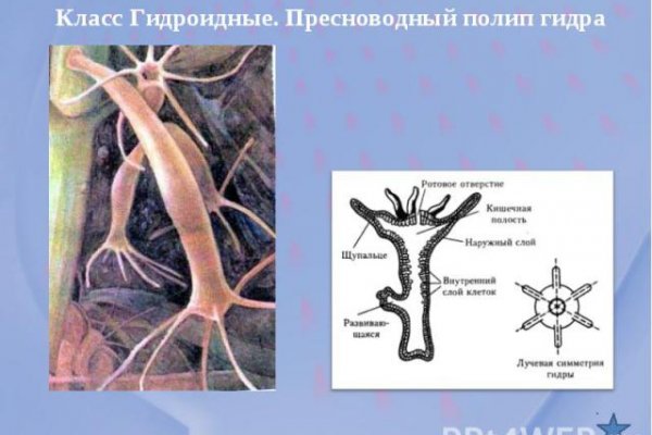 Кракен площадка ссылка