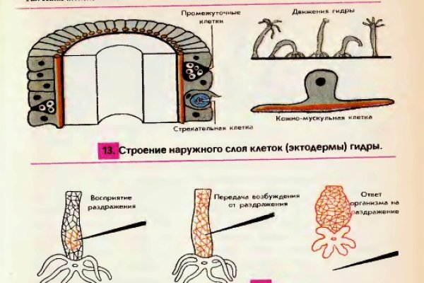 Как найти кракен шоп