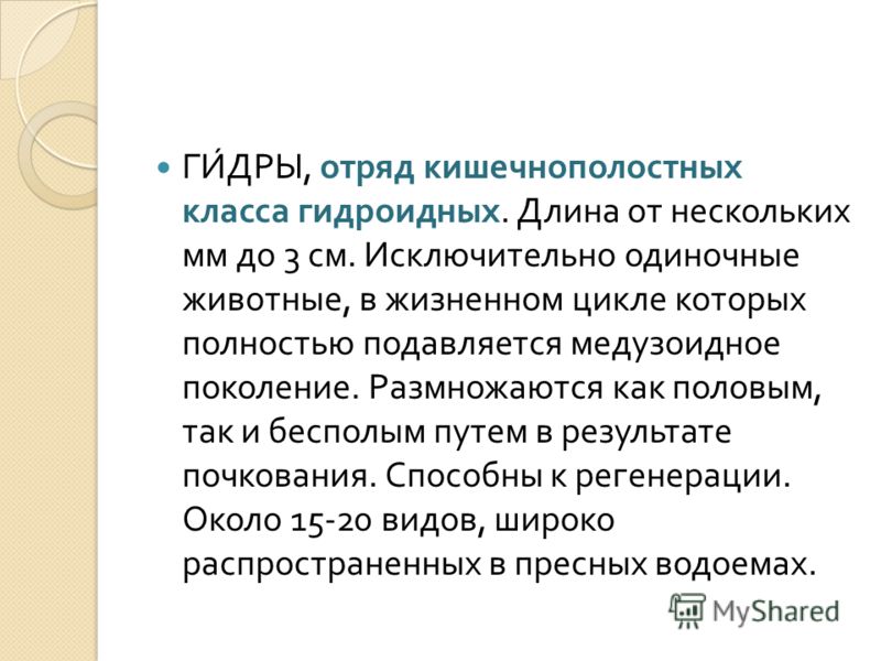 Кракен маркетплейс создатель